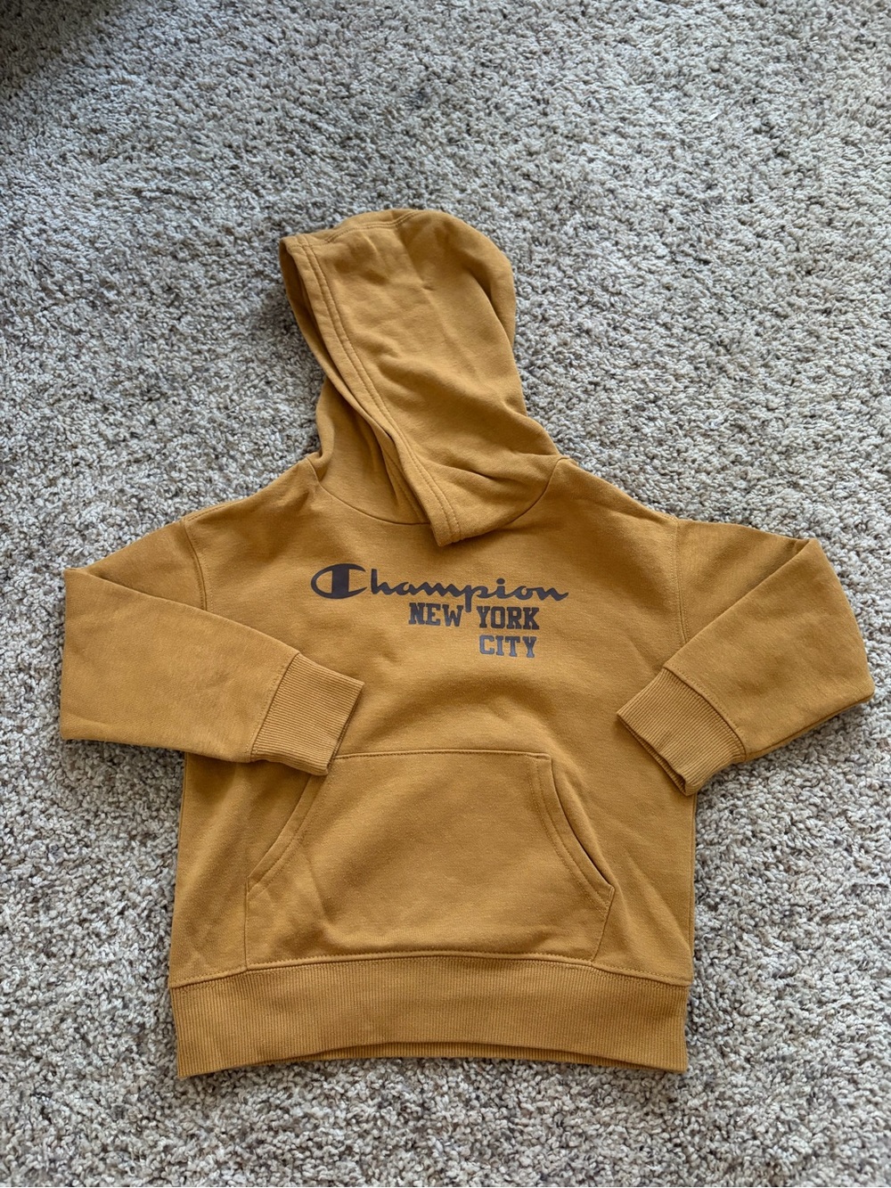 Champion Kids Hoodie